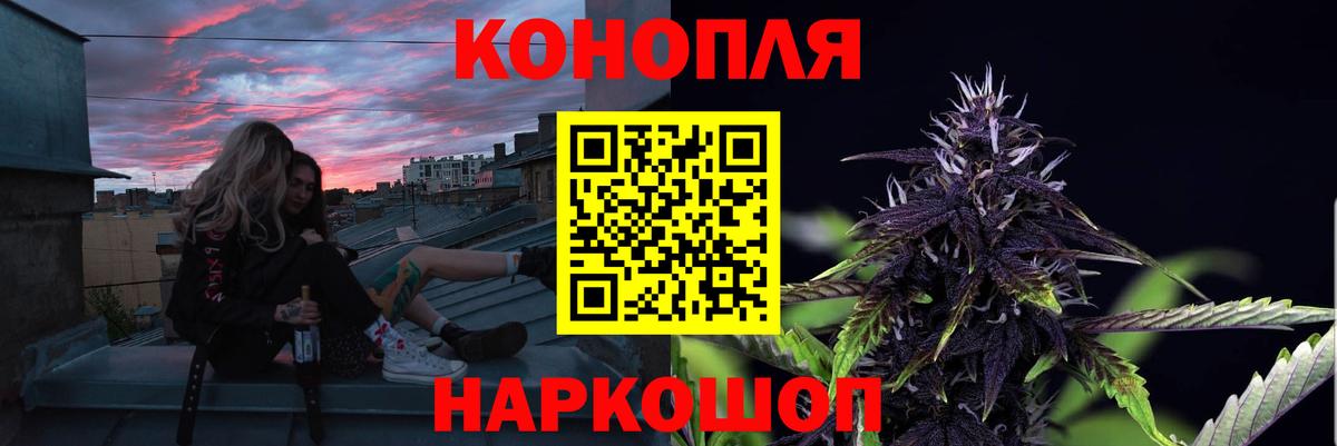 Конопля конопля Чусовой